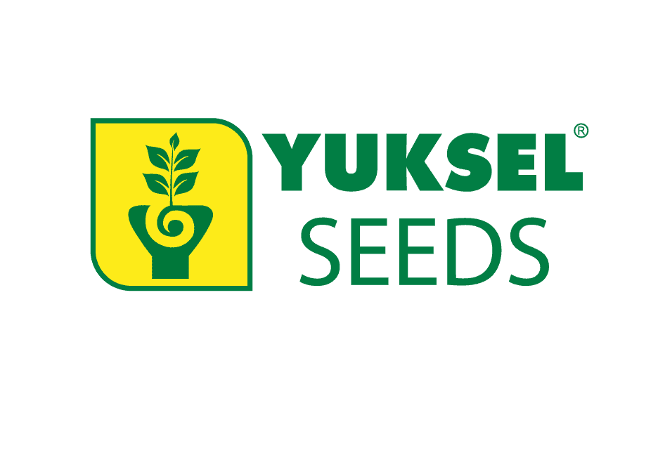 yuksel